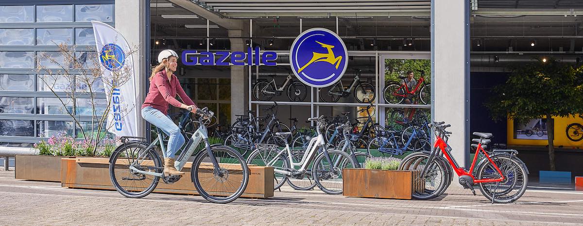 Gazelle