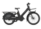 Preview: Gazelle Cabby C380 L 24" SE RH55 800Wh