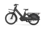 Preview: Gazelle Cabby C380 L 24" SE RH55 800Wh