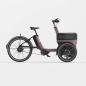 Preview: van Raam Thuja Enviolo 410Wh