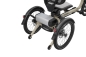 Preview: van Raam Easy Rider Compact