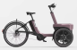 Preview: van Raam Thuja Enviolo 410Wh