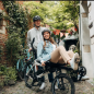 Preview: Hase Bikes Pino Steps Tandem 85Nm 630Wh GRAUBEIGE