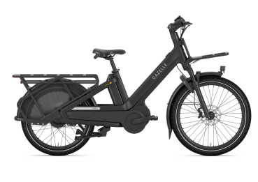 Gazelle Cabby C380 L 24" SE RH55 800Wh