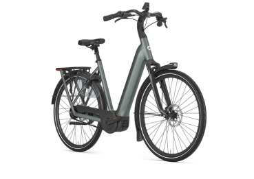 Gazelle Grenoble C5+ 600Wh R53cm green mat