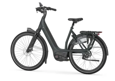 Avignon C380 HMB L53 mit 800Watt