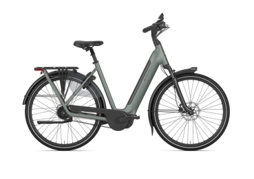 Gazelle Grenoble C5+ 600Wh R53cm green mat