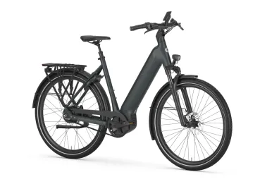 Gazelle Ultimate C380 HMB L57 mit 800 Watt