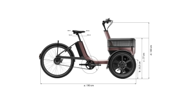 van Raam Thuja Enviolo 846Wh