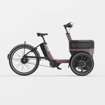 van Raam Thuja Enviolo 410Wh