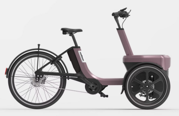 van Raam Thuja Enviolo 410Wh