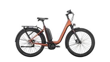 Victoria eUrban 11.8 Rh:56
