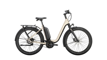 Victoria eUrban 11.9 Rh:56