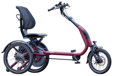 VAN RAAM Easy Rider Kompakt 844Wh bordeaux POWER EDITION