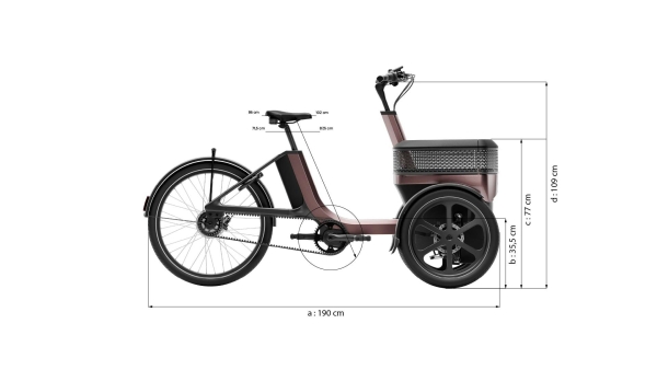 van Raam Thuja Enviolo 846Wh