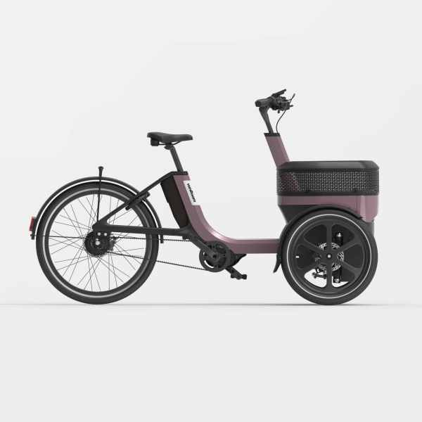 van Raam Thuja Enviolo 410Wh