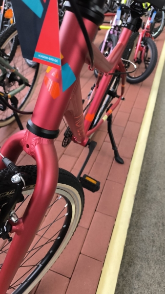 Academy Grade 5 - Red