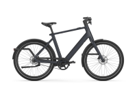 Gazelle Cayo C1 R55cm