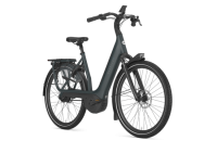 Gazelle AVIGNON C380 HMB L57cm 800Watt Teal grey