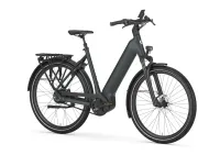 Gazelle Ultimate C380 HMB L53 mit 800 Watt