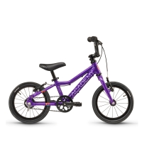 ACADEMY GRADE 2 belt - 14 Zoll Purple