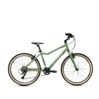 Academy Grade 5 - Olive