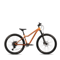 Academy Trail 7/27.5 RH33 Amber