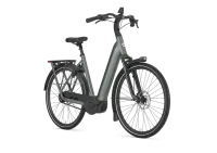 Gazelle Arroyo C5+ Elite First Edition Rücktritt