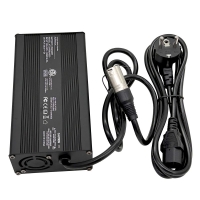 Ultra-Power-Ladegerät 5A für Freeliner EVO III