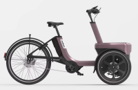 van Raam Thuja Enviolo 410Wh