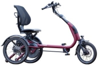 van Raam Easy Rider Kompakt 404Wh